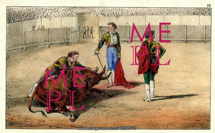 : Spanish bullfighting - coup de grace : Spanish bullfighting - coup de grace