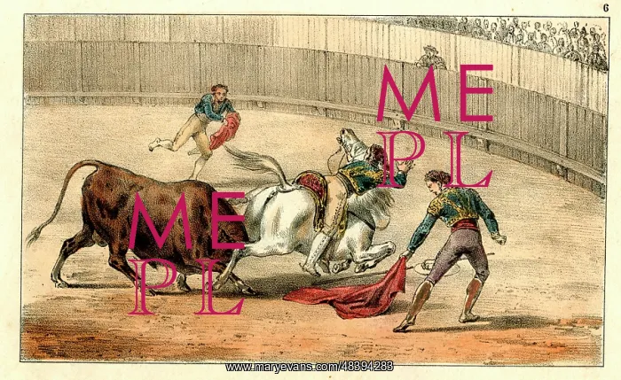 : Spanish bullfighting - fall of the picador : Spanish bullfighting - fall of the picador