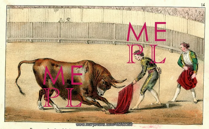 : Spanish bullfighting - pass of the cape : Spanish bullfighting - pass of the cape