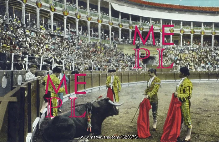 : Spanish Bullfighting Series (10 / 12) : Spanish Bullfighting Series (10 / 12)