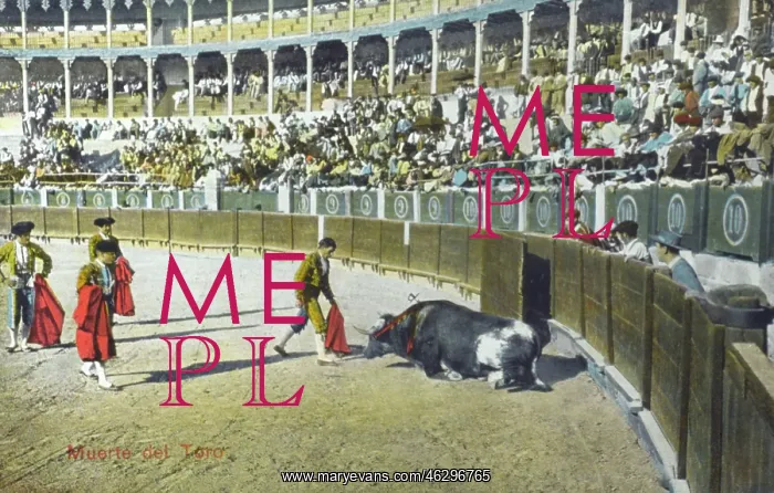 : Spanish Bullfighting Series (11 / 12) : Spanish Bullfighting Series (11 / 12)