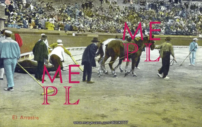 : Spanish Bullfighting Series (12 / 12) : Spanish Bullfighting Series (12 / 12)