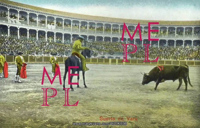  : Spanish Bullfighting Series (3 / 12)
