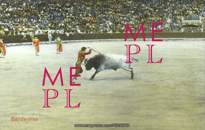: Spanish Bullfighting Series (5 / 12) : Spanish Bullfighting Series (5 / 12)