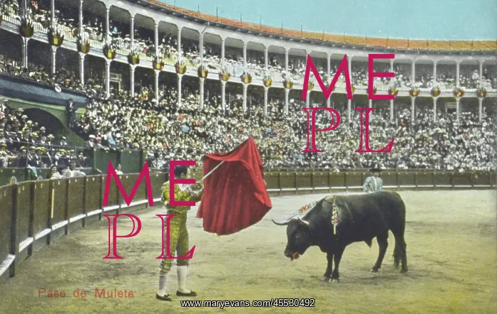 : Spanish Bullfighting Series (7 / 12) : Spanish Bullfighting Series (7 / 12)