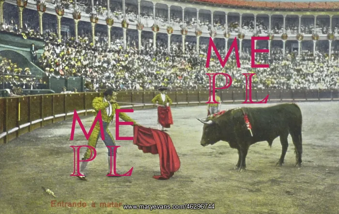: Spanish Bullfighting Series (8 / 12) : Spanish Bullfighting Series (8 / 12)