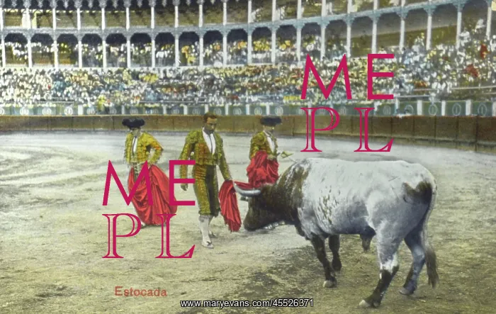 : Spanish Bullfighting Series (9 / 12) : Spanish Bullfighting Series (9 / 12)