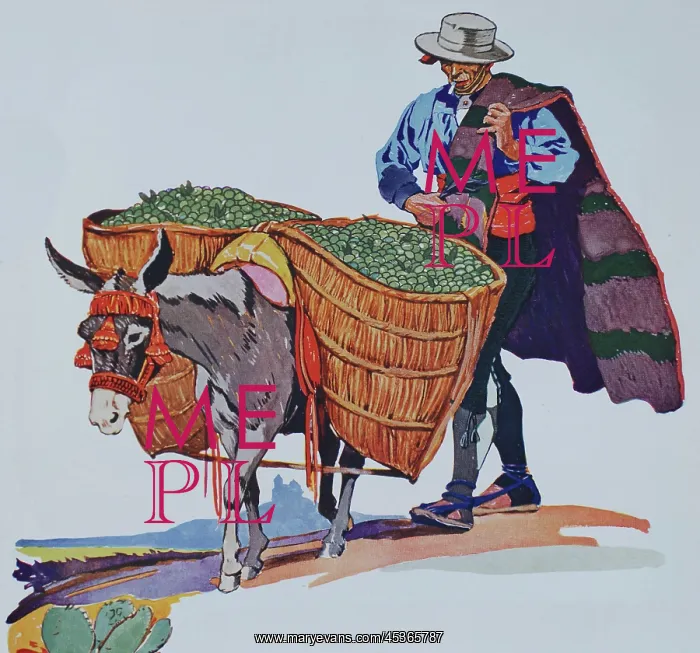 : Spanish farmer with burro : Spanish farmer with burro