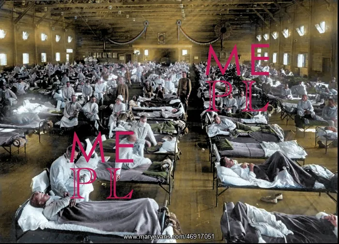 : Spanish Flu Centenary : Spanish Flu Centenary