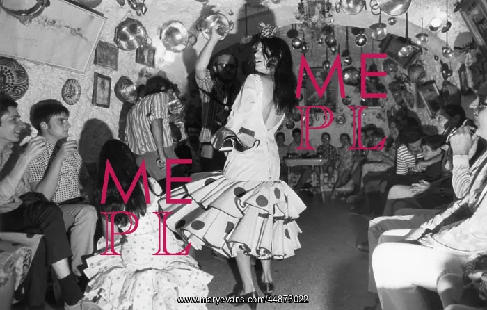 : SPANISH GYPSY DANCER : SPANISH GYPSY DANCER