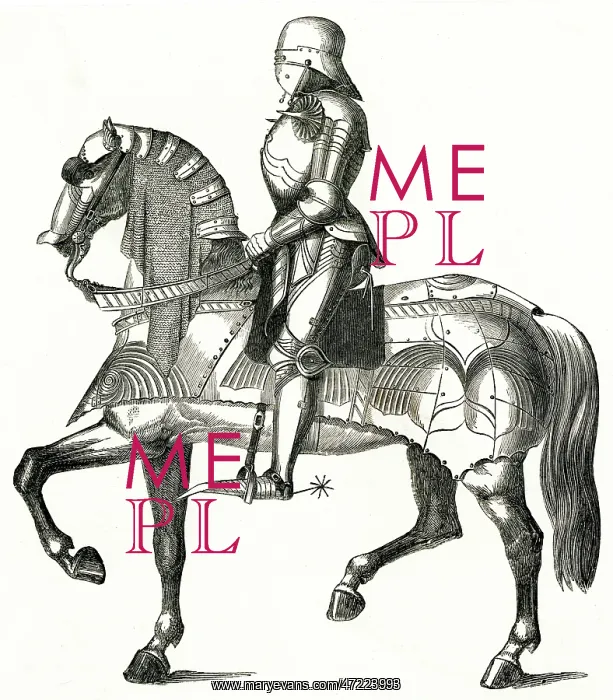 : Spanish knight in armour : Spanish knight in armour