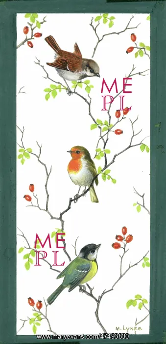 : Sparrow, robin and blue tit on rose branches : Sparrow, robin and blue tit on rose branches
