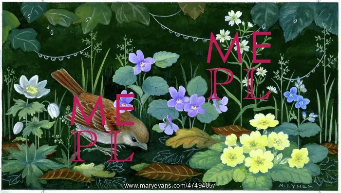 : Sparrow with violets and primroses etc : Sparrow with violets and primroses etc