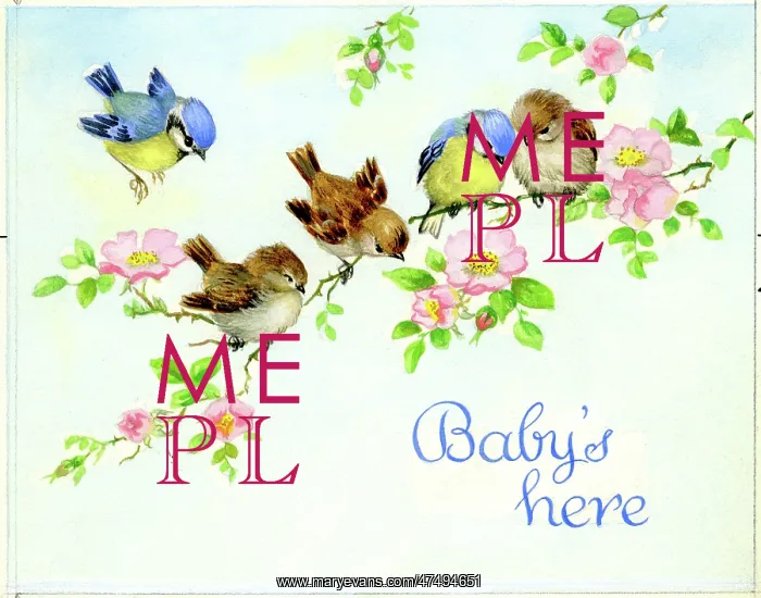 : Sparrows and Blue Tits on a wild rose bough : Sparrows and Blue Tits on a wild rose bough