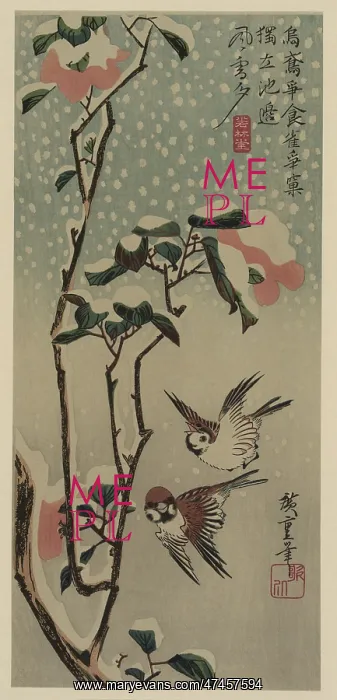 : Sparrows and camellias in snow : Sparrows and camellias in snow