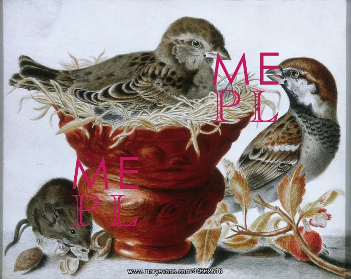 : Two sparrows and a mouse : Two sparrows and a mouse