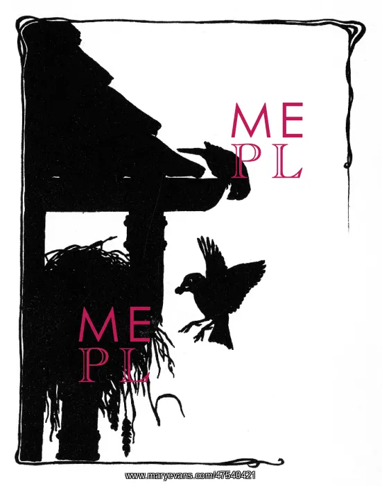: Two sparrows and their nest : Two sparrows and their nest
