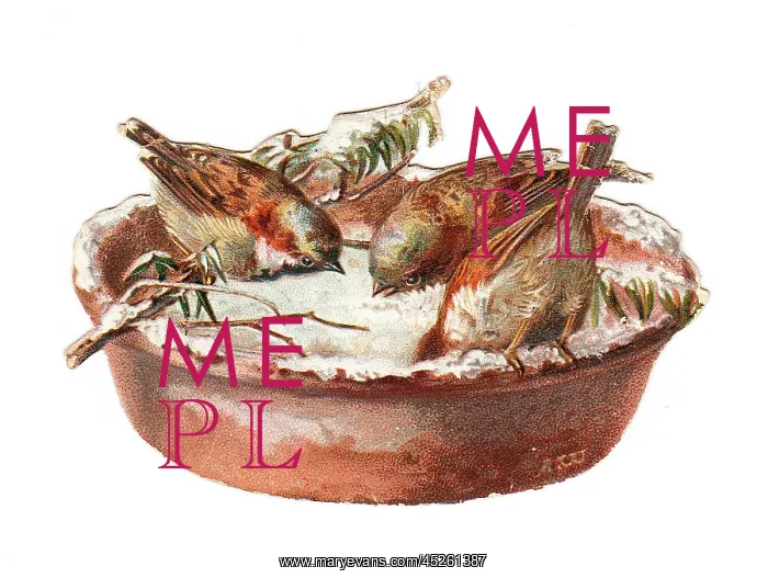 : Sparrows in snow on a dish-shaped Christmas card : Sparrows in snow on a dish-shaped Christmas card
