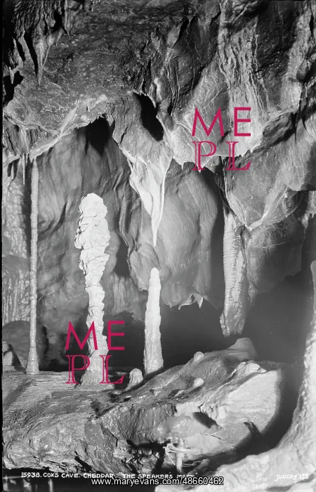 : The Speaker's Mace in Cox's Cave : The Speaker's Mace in Cox's Cave