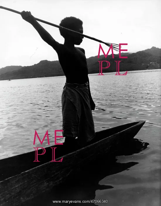 : Spearing Fish : Spearing Fish