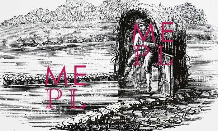  : Spearing salmon in the River Dart