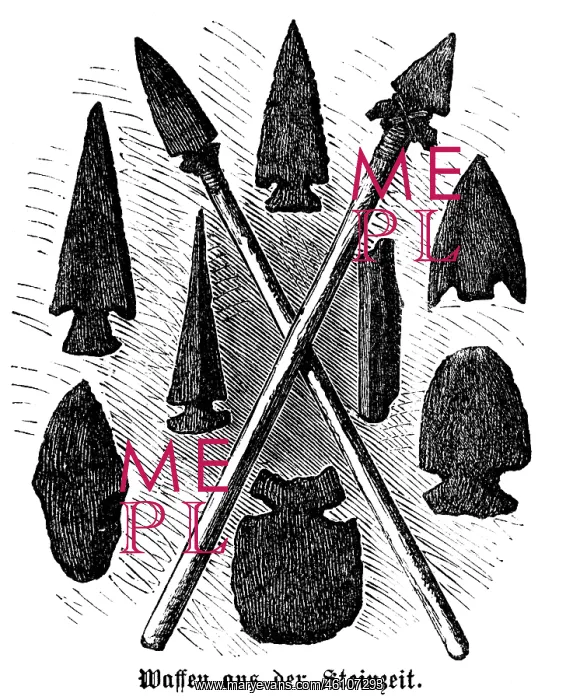 : Spears and spearheads from the Stone Age : Spears and spearheads from the Stone Age