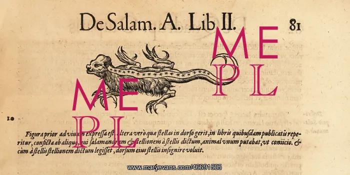 : Species of mythical salamander : Species of mythical salamander
