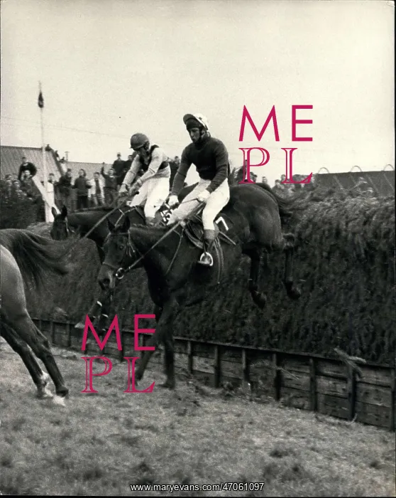 : Specify at Becher's Brook in Grand National : Specify at Becher's Brook in Grand National