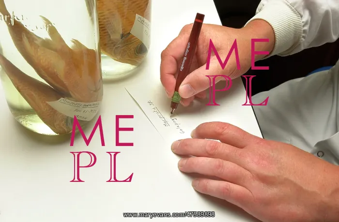 : Specimen label : Specimen label