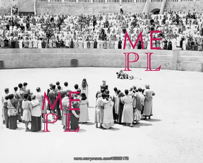 : SPECTATOR SPORT : SPECTATOR SPORT