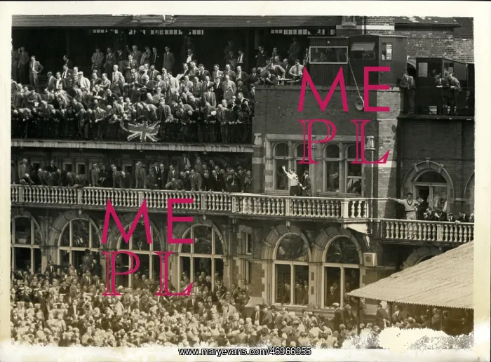 : Spectators celebrate as England wins the Ashes : Spectators celebrate as England wins the Ashes