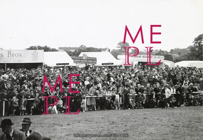: Spectators at Devon County Show : Spectators at Devon County Show