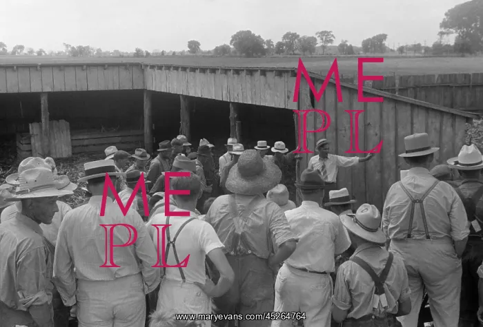 : Spectators at public farm auction, central Ohio : Spectators at public farm auction, central Ohio