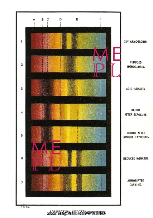 : Spectra Chart, Blood Samples, 1894 : Spectra Chart, Blood Samples, 1894