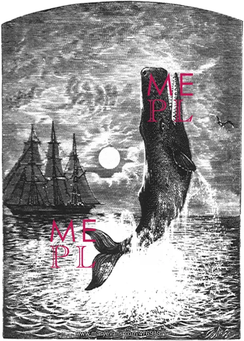  : Sperm Whale and Ship