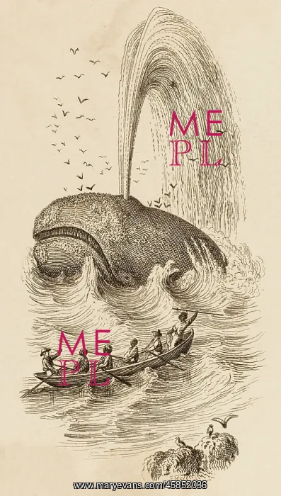  : SPERM WHALES CAUGHT