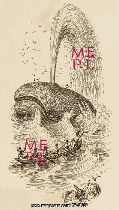  : SPERM WHALES CAUGHT