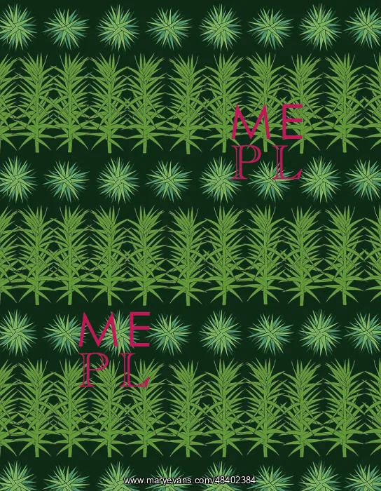  : Sphagnum moss repeating pattern