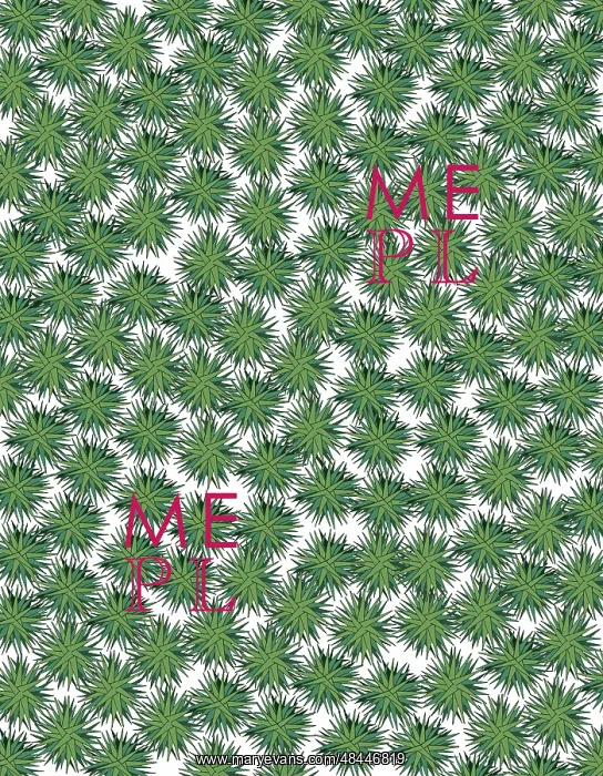  : Sphagnum moss repeating pattern