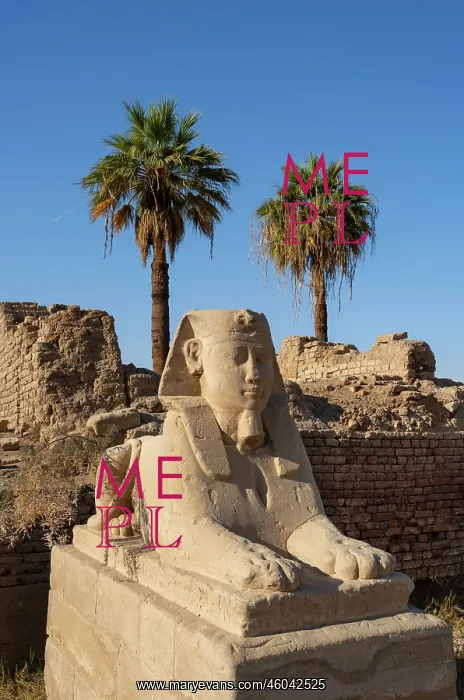 : Sphinx, Dromos, Luxor Temple, Luxor, Egypt : Sphinx, Dromos, Luxor Temple, Luxor, Egypt