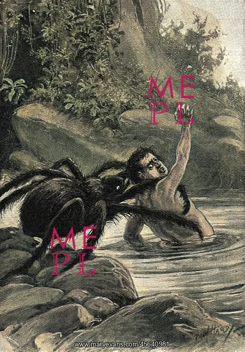 : Spider Eats Man 1890s : Spider Eats Man 1890s