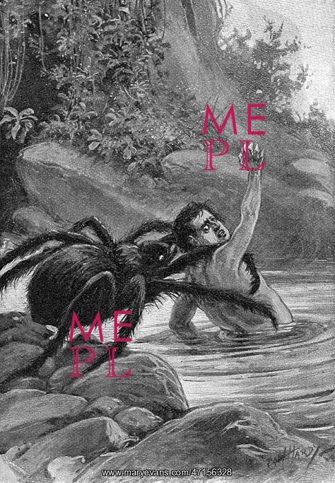 : Spider Eats Man 1890s : Spider Eats Man 1890s