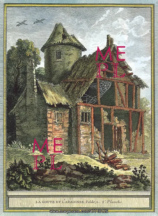  : Spider in Old Cottage