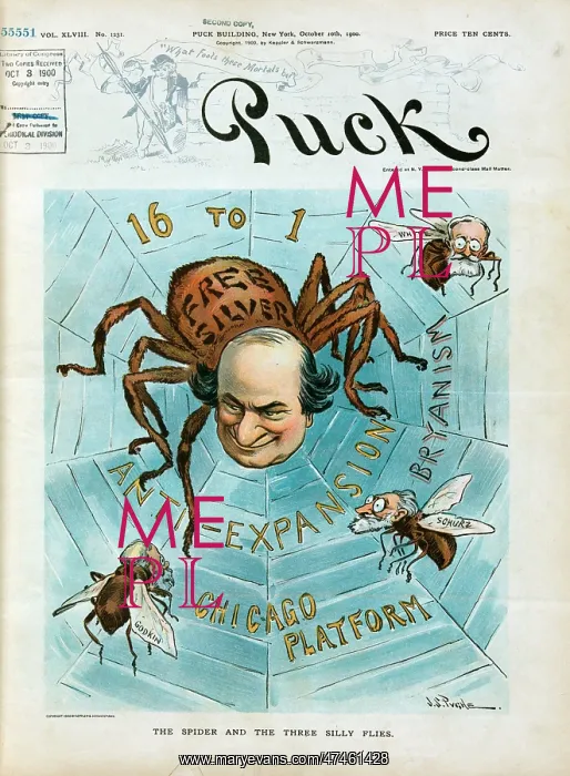 : The spider and the three silly flies : The spider and the three silly flies