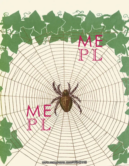: Spider in Web : Spider in Web