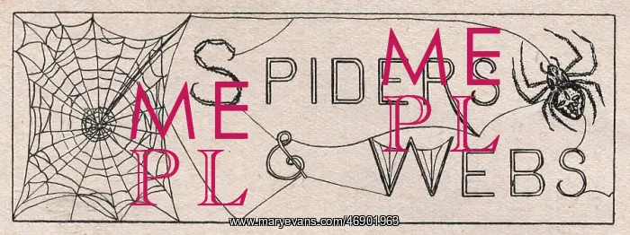 : Spiders & Webs - Font and graphic in Nature Reader Monthly : Spiders & Webs - Font and graphic in Nature Reader Monthly