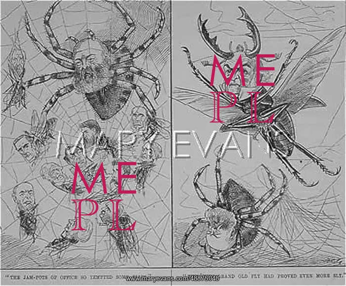 : Spiderweb cartoon 1889 : Spiderweb cartoon 1889
