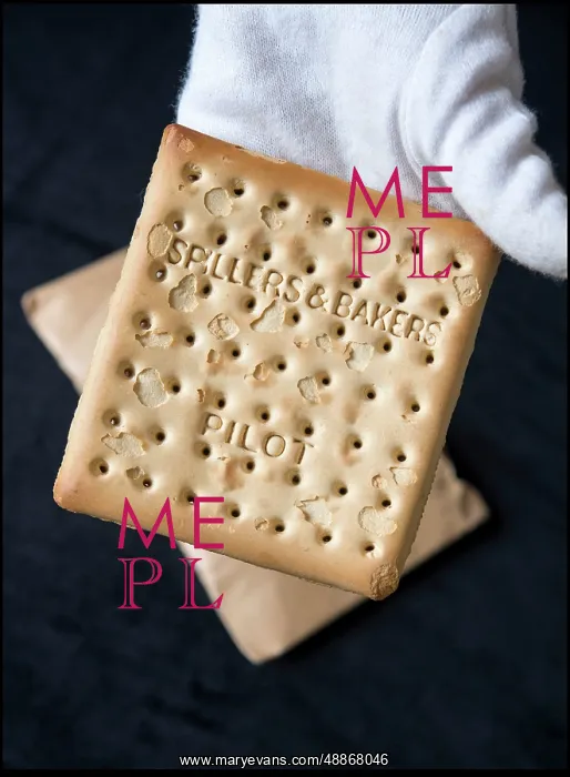 : Spillers and Bakers pilot biscuit from RMS Titanic : Spillers and Bakers pilot biscuit from RMS Titanic