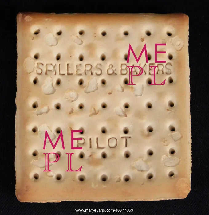 : Spillers and Bakers pilot biscuit from RMS Titanic : Spillers and Bakers pilot biscuit from RMS Titanic