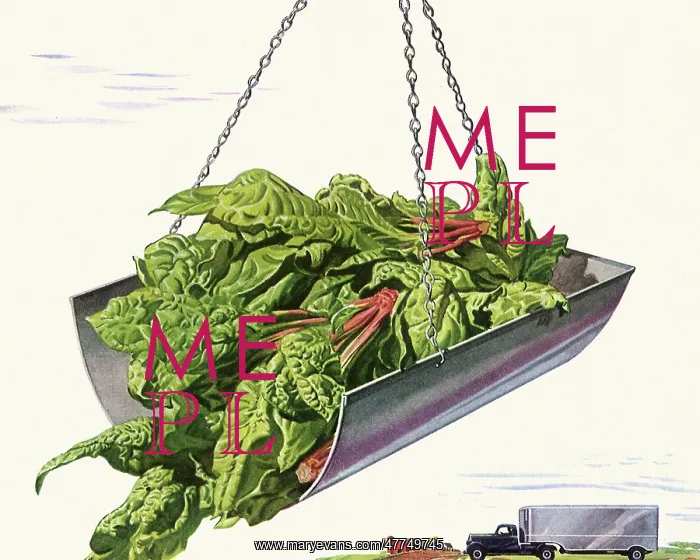 : Spinach on a Scale : Spinach on a Scale